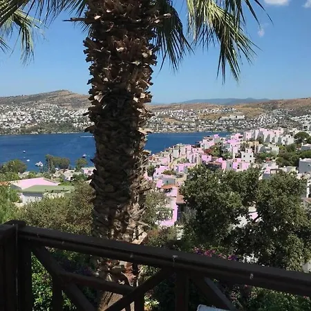 Gundogan Koyu Manzarali Bodrum